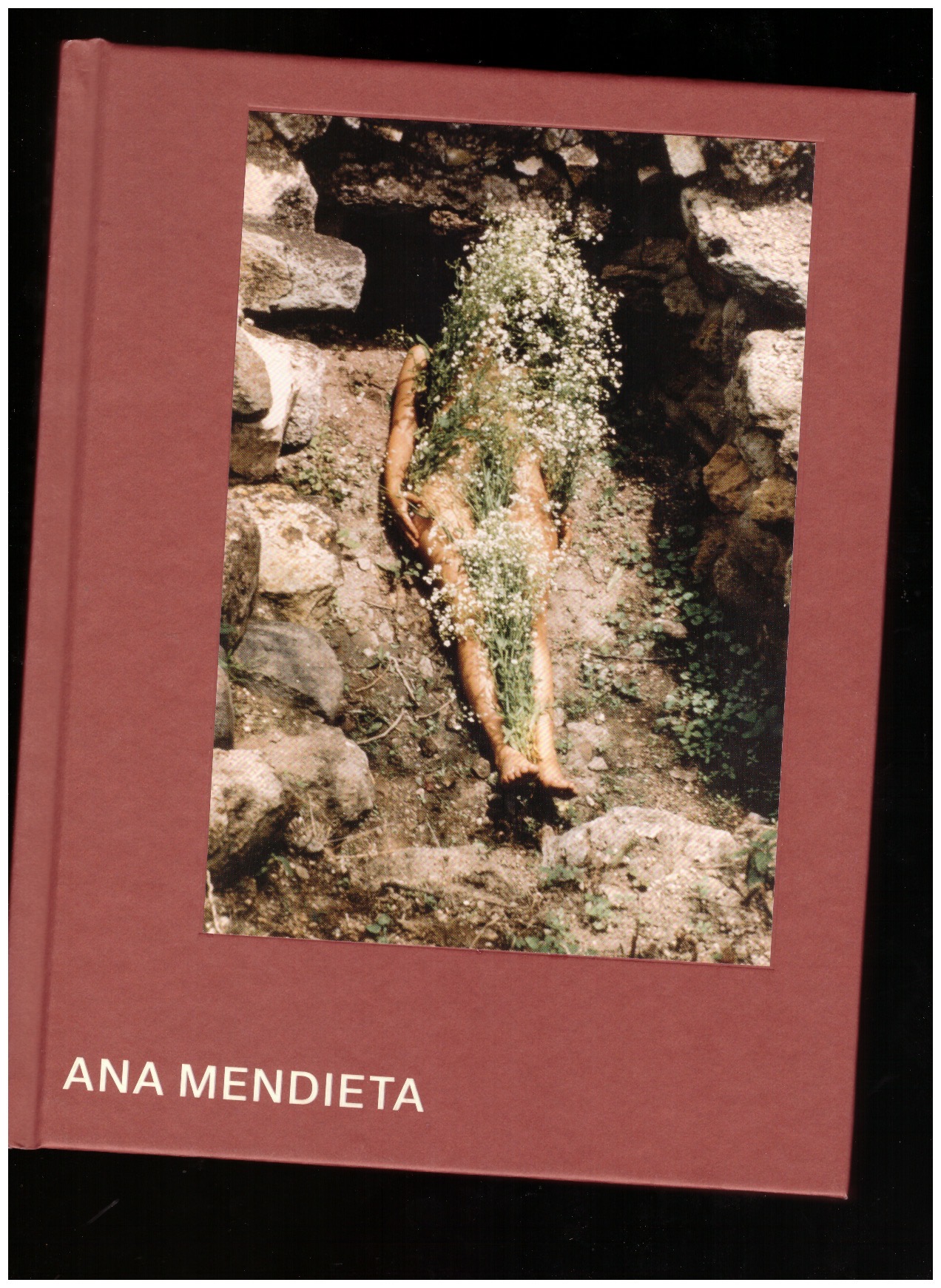 WELLEN, Michael ; UMANSKY, Valentine  - Ana Mendieta (Tate catalogue)
